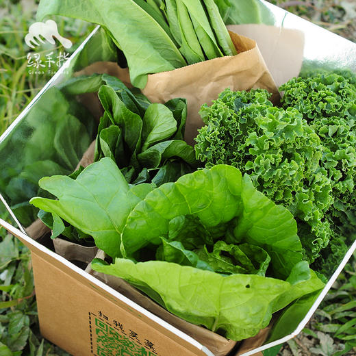 生态时令蔬菜箱（一件包邮）| 绿家自产*ecological eafy vegetables | Self-production 商品图0