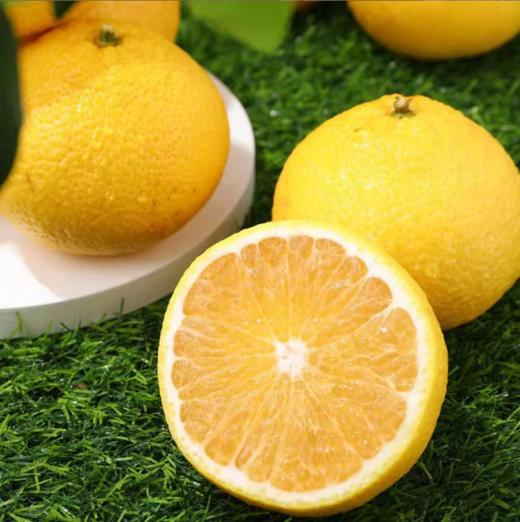 福建甜桔柚、颗粒晶莹、甜蜜多汁、有橘子的甜蜜、柚子的清香，又有橙子的风味，清甜爽口的口感【寒冷地区冻坏不售后】 商品图6