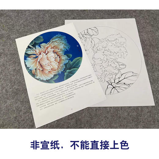 【有步骤、大彩图】李晓明工笔画白描底稿圆形小品《瑶池春》牡丹初学者临摹花鸟线稿KL16 商品图2