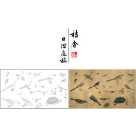 【有步骤、大彩图】李晓明工笔画白描底稿小品《写生珍禽图》草虫鸟初学者临摹花鸟线稿KL10