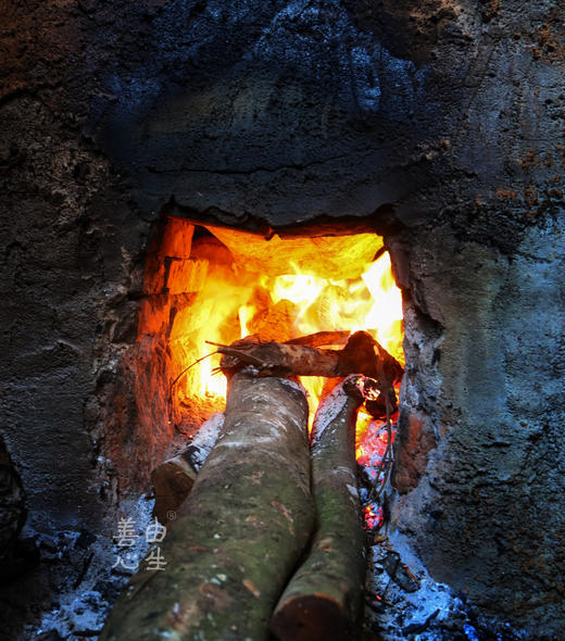 老树灯笼桂圆肉 商品图2