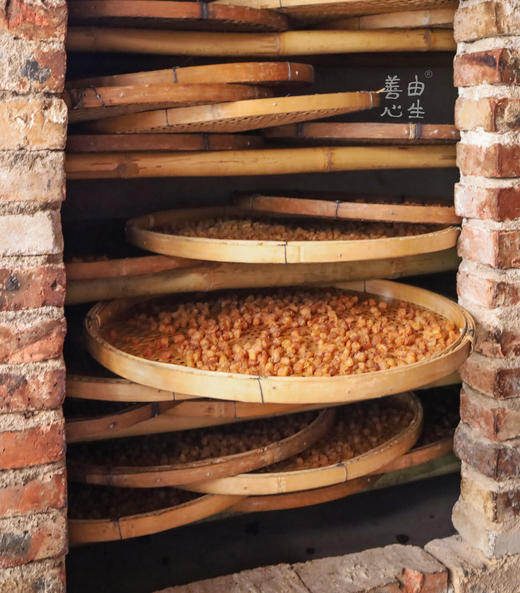 老树灯笼桂圆肉 商品图4