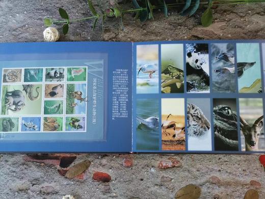 【珍稀动物】邮票集 收录8套/共35枚野生保护动物邮票 商品图4