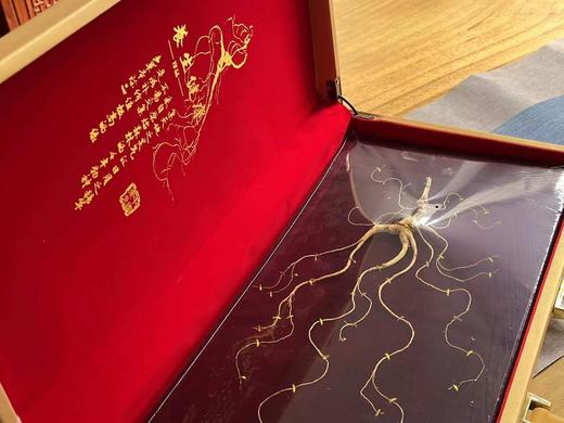 长白山【林下干参】自然生长，给父母补补底气 商品图1