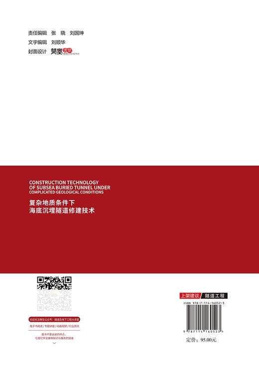 复杂地质条件下海底沉埋隧道修建技术 商品图1