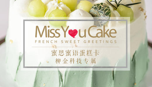 柳金科技公司 商品图0