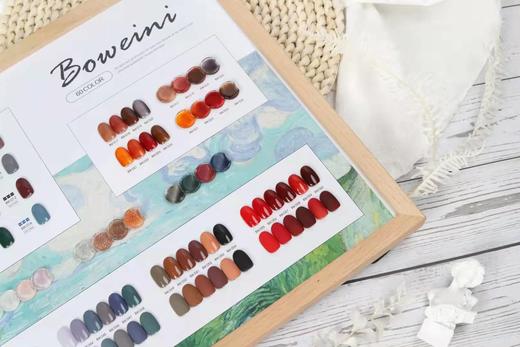 梵高意境60色甲油胶 商品图3