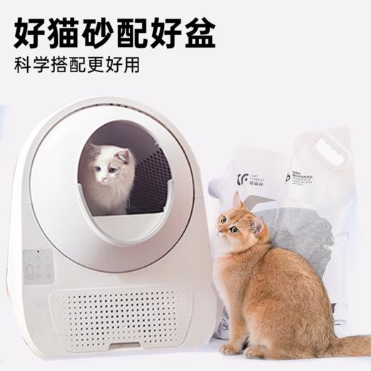猫森林原矿钠基膨润土猫砂11.3kg/猫森林松木猫砂15kg 商品图4