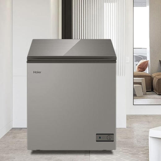 海尔（Haier）冰柜BC/BD-103HMC 商品图12