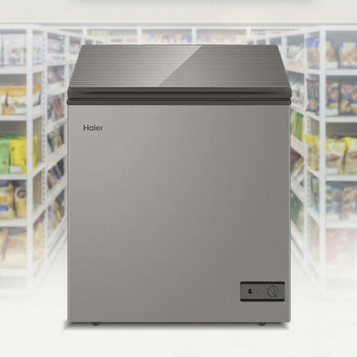 海尔（Haier）冰柜BC/BD-103HMC 商品图11
