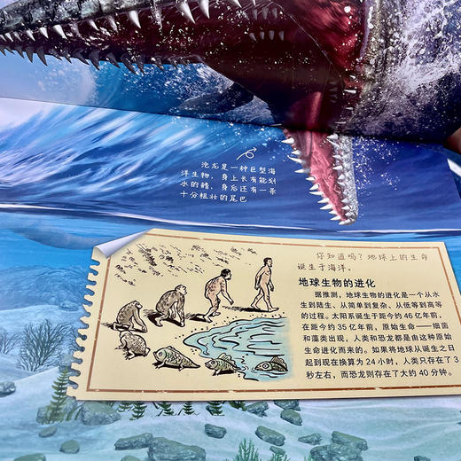 【张泉灵老师专享】神秘日志系列：恐龙寻踪+汽车时代+达尔文环球旅行 商品图6