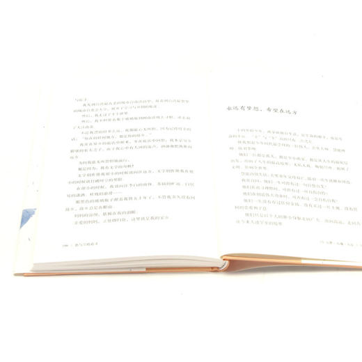 色与空的追寻(精) 商品图4