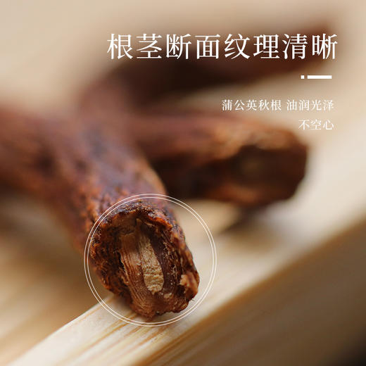 【自营】蒲公英茶250g/瓶 商品图1