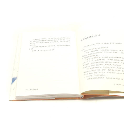 色与空的追寻(精) 商品图3