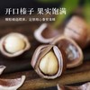 【自营】大榛子500g 商品缩略图1