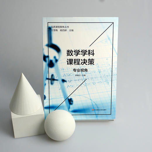 数学学科课程决策 专业视角 杨四耕主编 品质课程聚焦丛书 数学课程建构 数学课堂教学 小学案例 商品图1