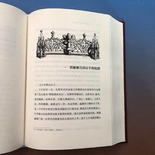 巴黎圣母院(插图珍藏版)(精) 商品图4