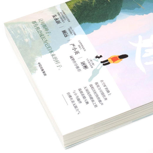 根与翅 商品图2