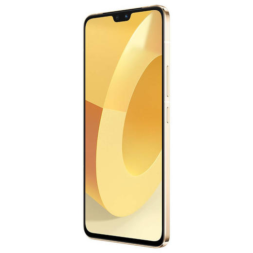 vivo S12 12GB+256GB  一亿像素 4400万超清前置 KPL比赛用机测试认证 快充 智能 长续航 游戏 5G手机 商品图8