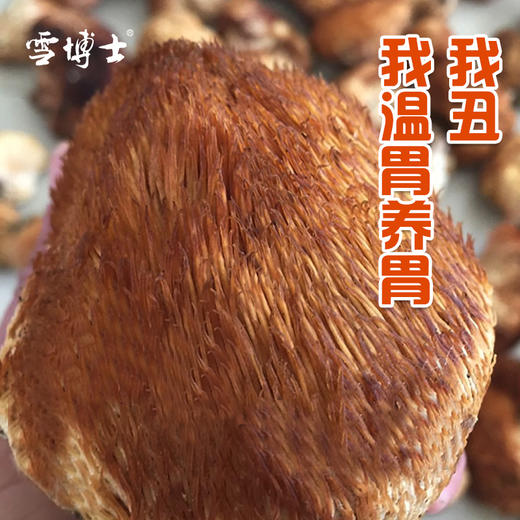 有机猴头菇   小兴安岭  雪博士支持自提 商品图6