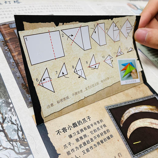 【张泉灵老师专享】神秘日志系列：恐龙寻踪+汽车时代+达尔文环球旅行 商品图7