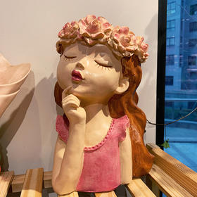 【园艺】仙女花盆