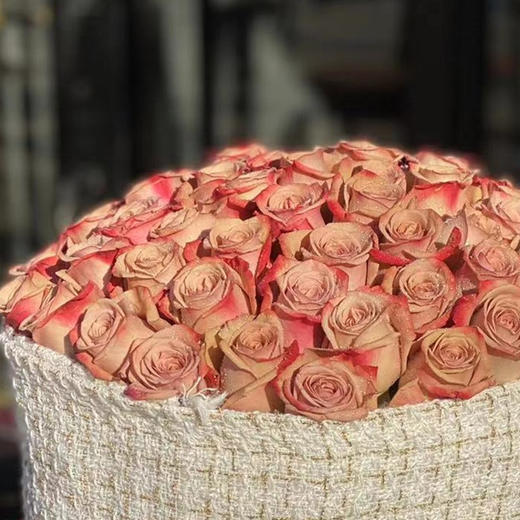 66支卡布奇诺玫瑰 商品图2