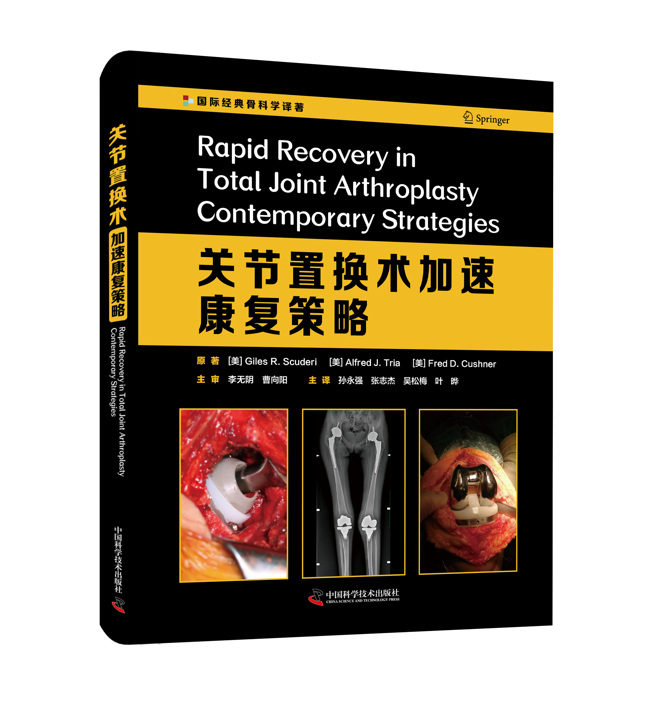 关节置换术加速康复策略   主译：孙永强 张志杰 吴松梅 叶晔  辽科出版