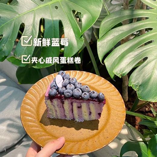 | 蓝莓满满 | 商品图1