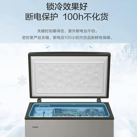 海尔（Haier）冰柜BC/BD-103HMC 商品图7