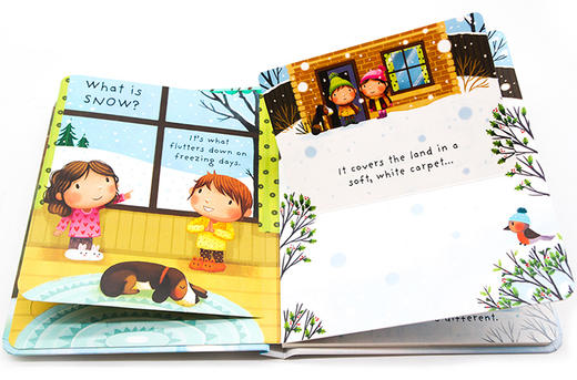 什么是雪 英文原版 Usborne Questions And Answers What Is Snow 科普绘本翻翻书 百科生活常识 英文版进口早教启蒙英语书籍 商品图2
