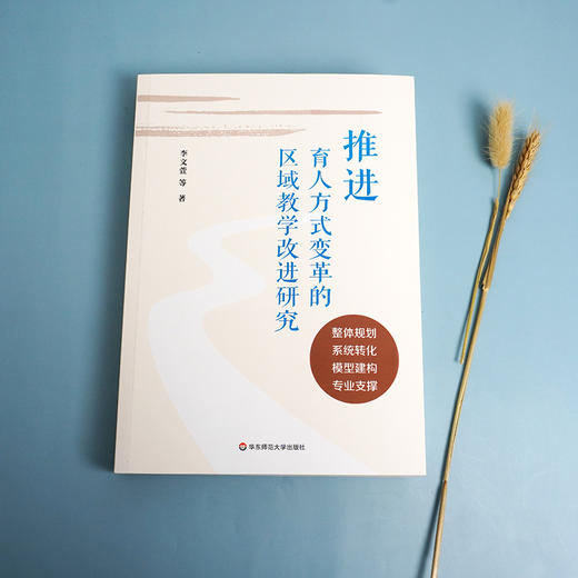推进育人方式变革的区域教学改进研究 区域教学改进框架 教学转化 学为中心模型 教师专业支撑 小初高 正版 华东师范大学出版社 商品图1