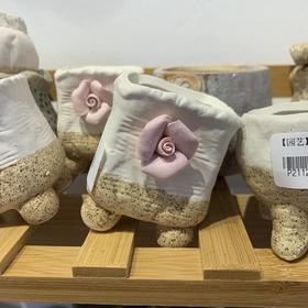 【园艺】多肉拇指盆