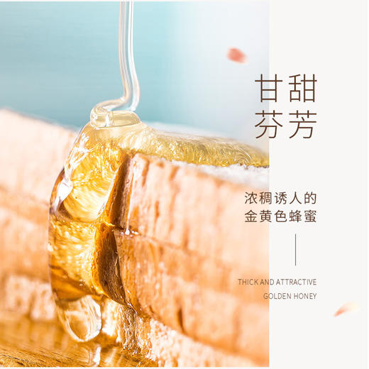 【自营】椴树条蜜15g*12袋 商品图3