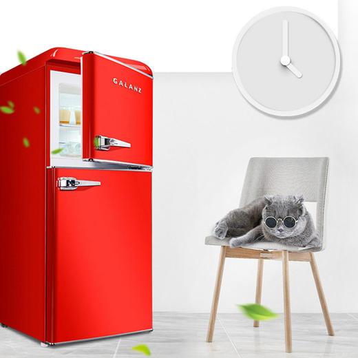 格兰仕电冰箱106升复古红两门双门家用小型电冰箱 直冷双门双温冰箱电冰箱BCD-106VF/J红 商品图3