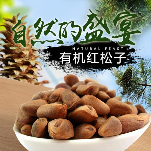 有机松籽  小兴安岭有机红松籽  雪博士支持自提 商品图4