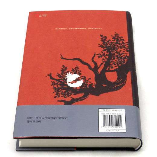 阵痛(精)/张翎作品集 商品图3