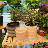 【园艺】陶瓷花盆三件套 商品缩略图2