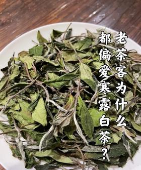 弘通禅茶丨老茶客为什么都偏爱寒露白茶？