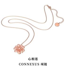 百货世界-CONNEXUS 心相莲莲花