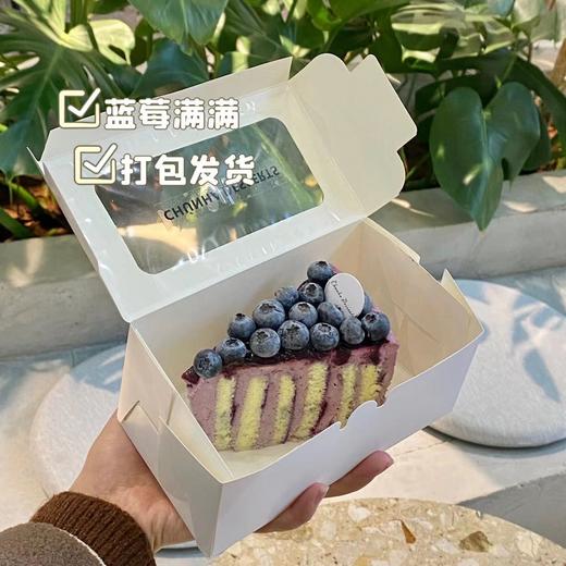 | 蓝莓满满 | 商品图2