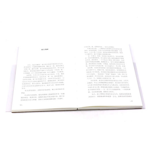 故乡近山河远(精) 商品图4