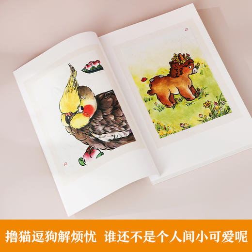 于谦：人间可爱 商品图4