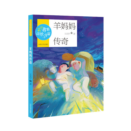 正版 天宁哥哥成长小宇宙 羊妈妈传奇 王天宁著 冰心儿童文学奖获得者 山东大学出版社FB 商品图0