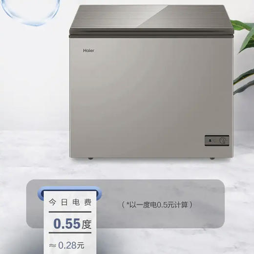 海尔（Haier）冰柜BC/BD-103HMC 商品图4
