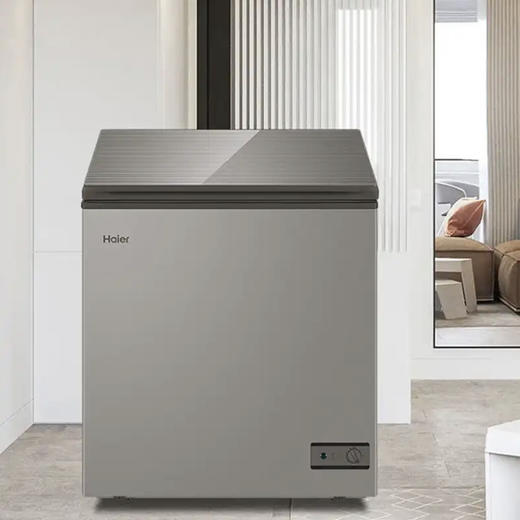 海尔（Haier）冰柜BC/BD-103HMC 商品图0
