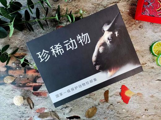 【珍稀动物】邮票集 收录8套/共35枚野生保护动物邮票 商品图1