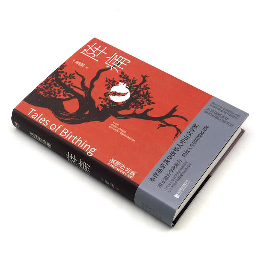 阵痛(精)/张翎作品集 商品图1