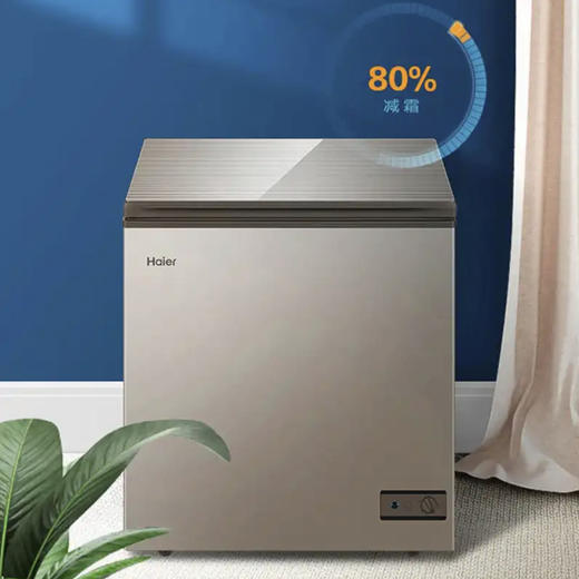 海尔（Haier）冰柜BC/BD-103HMC 商品图2