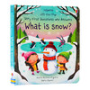什么是雪 英文原版 Usborne Questions And Answers What Is Snow 科普绘本翻翻书 百科生活常识 英文版进口早教启蒙英语书籍 商品缩略图0